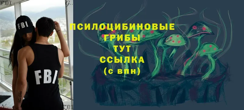 продажа наркотиков  ОМГ ОМГ онион  площадка какой сайт  Костомукша  Галлюциногенные грибы Psilocybine cubensis 